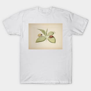 Ladybirds Vintage T-Shirt